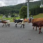 Restaurant Raunig 3* Bad Kleinkirchheim