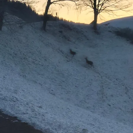 Restaurant Raunig Szálloda 3*