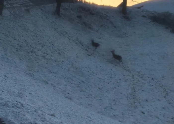 Restaurant Raunig מלון 3*