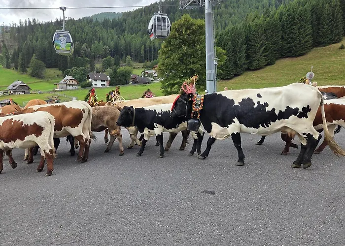 Restaurant Raunig Hotel Bad Kleinkirchheim
