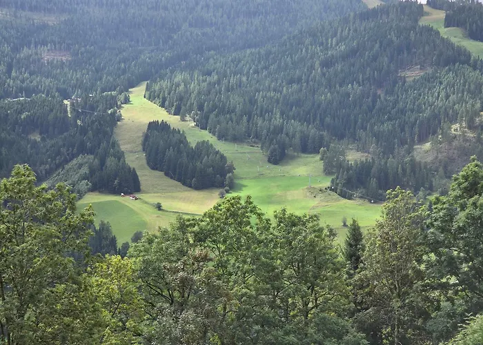 מלון Restaurant Raunig 3*