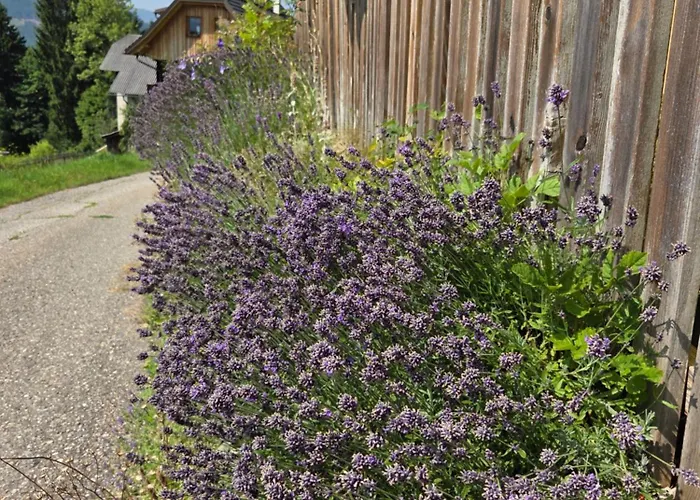 Restaurant Raunig 3*