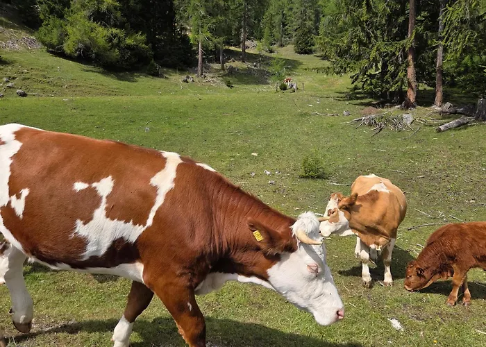 Hotel Restaurant Raunig