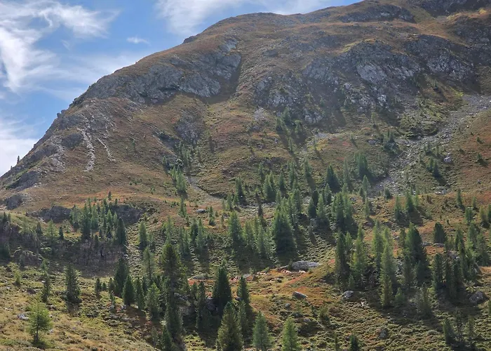 Restaurant Raunig מלון