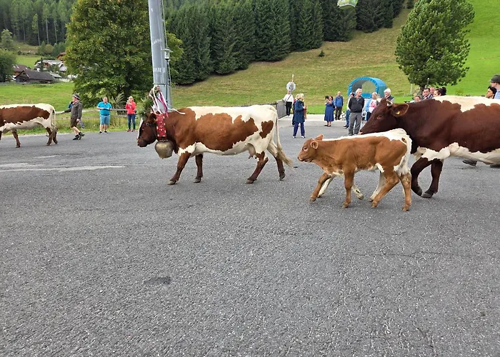 Hotel Restaurant Raunig 3*