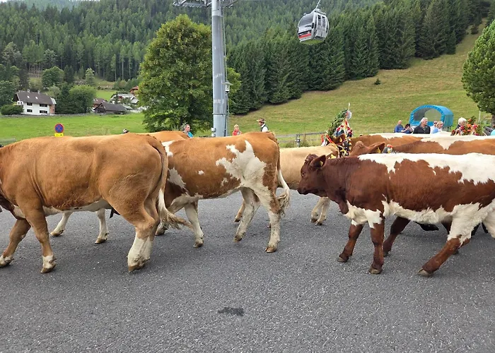 Hotel Restaurant Raunig 3* Bad Kleinkirchheim